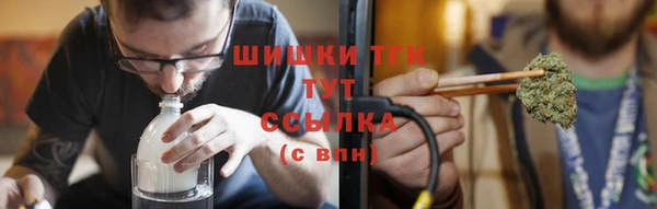 ГАЛЛЮЦИНОГЕННЫЕ ГРИБЫ Вяземский