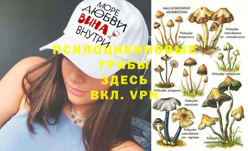 Галлюциногенные грибы Magic Shrooms  Мирный 